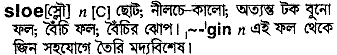 Sloe in Bangla Academy Dictionary