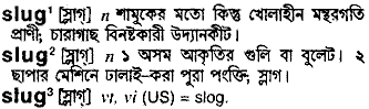 Slug in Bangla Academy Dictionary