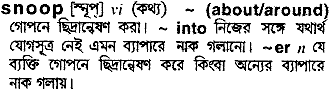 Snoop in Bangla Academy Dictionary