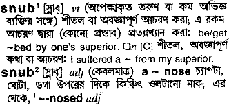 Snub in Bangla Academy Dictionary