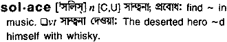 Solace in Bangla Academy Dictionary