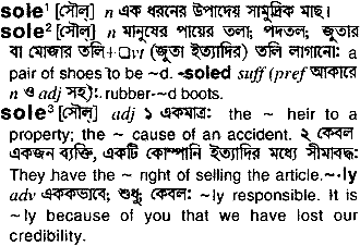 Sole in Bangla Academy Dictionary