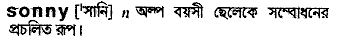 Sonny in Bangla Academy Dictionary