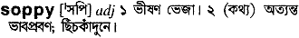 Soppy in Bangla Academy Dictionary