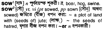 Sow in Bangla Academy Dictionary