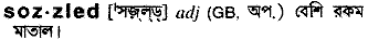 Sozzled in Bangla Academy Dictionary