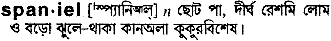 Spaniel in Bangla Academy Dictionary