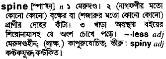 Spine in Bangla Academy Dictionary