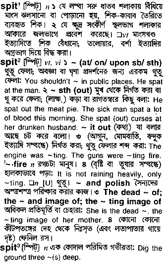 Spit in Bangla Academy Dictionary