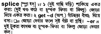 Splice in Bangla Academy Dictionary