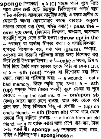 Sponge in Bangla Academy Dictionary