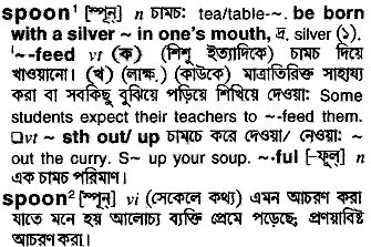 Spoon in Bangla Academy Dictionary