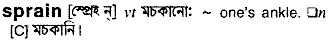 Sprain in Bangla Academy Dictionary