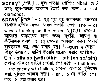 Spray in Bangla Academy Dictionary