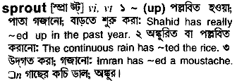 Sprout in Bangla Academy Dictionary