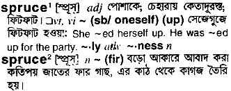 Spruce in Bangla Academy Dictionary