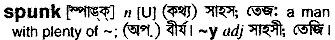 Spunk in Bangla Academy Dictionary