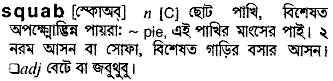 Squab in Bangla Academy Dictionary