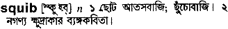 Squib in Bangla Academy Dictionary