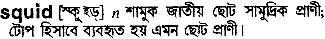 Squid in Bangla Academy Dictionary