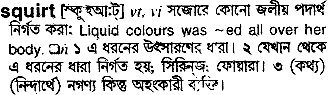 Squirt in Bangla Academy Dictionary