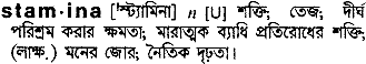 Stamina in Bangla Academy Dictionary