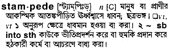 Stampede in Bangla Academy Dictionary