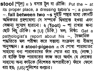 Stool in Bangla Academy Dictionary
