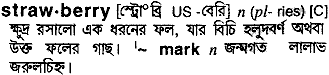 Strawberry in Bangla Academy Dictionary