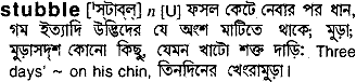 Stubble in Bangla Academy Dictionary