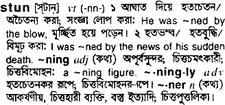 Stun in Bangla Academy Dictionary
