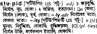 Stupid in Bangla Academy Dictionary