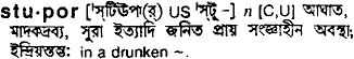 Stupor in Bangla Academy Dictionary