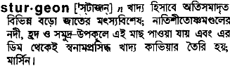 Sturgeon in Bangla Academy Dictionary