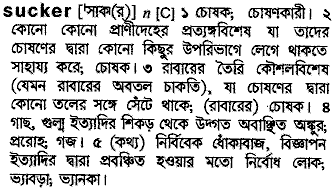 Sucker in Bangla Academy Dictionary