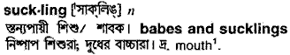 Suckling in Bangla Academy Dictionary