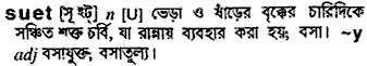 Suet in Bangla Academy Dictionary