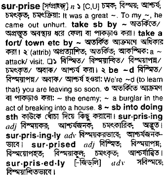 Surprise in Bangla Academy Dictionary