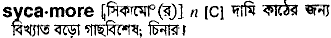 Sycamore in Bangla Academy Dictionary