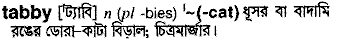Tabby in Bangla Academy Dictionary