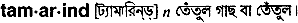 Tamarind in Bangla Academy Dictionary