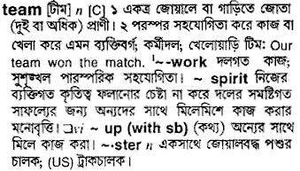 Team in Bangla Academy Dictionary
