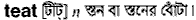 Teat in Bangla Academy Dictionary