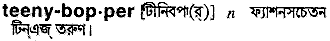 Teeny-bopper in Bangla Academy Dictionary
