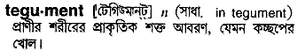 Tegument in Bangla Academy Dictionary