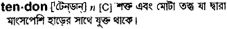 Tendon in Bangla Academy Dictionary
