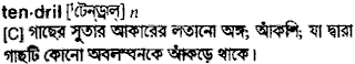 Tendril in Bangla Academy Dictionary