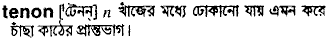 Tenon in Bangla Academy Dictionary