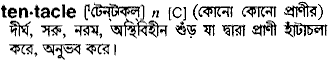 Tentacle in Bangla Academy Dictionary