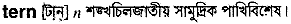 Tern in Bangla Academy Dictionary